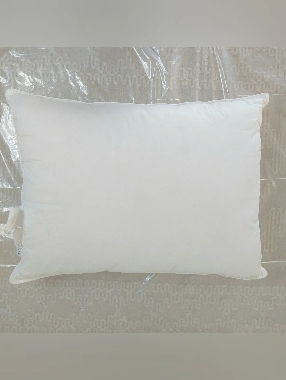 NWOT- Quince Standard White Duck Down Premium Pillow (Firm)(P47)